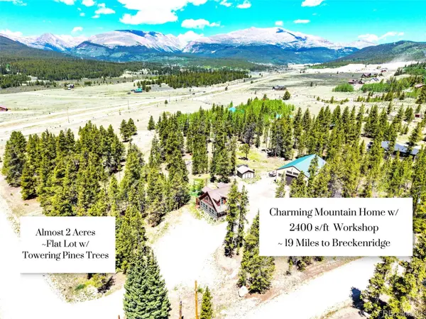 93 Placer DR, Alma, CO 80420