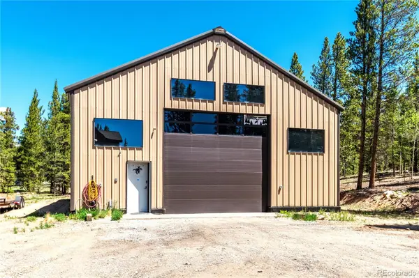 93 Placer DR, Alma, CO 80420