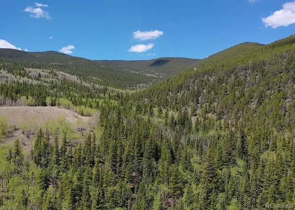 000 Lamartine RD, Idaho Springs, CO 80452