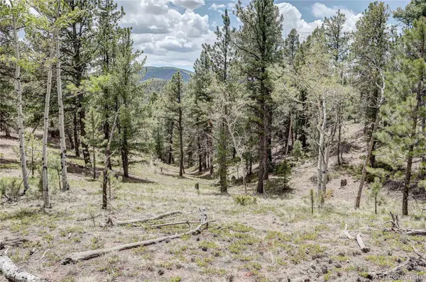 59 Robin PT, Divide, CO 80814
