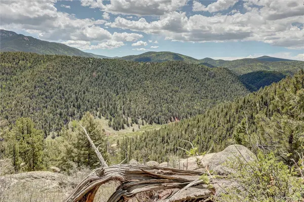 59 Robin PT, Divide, CO 80814