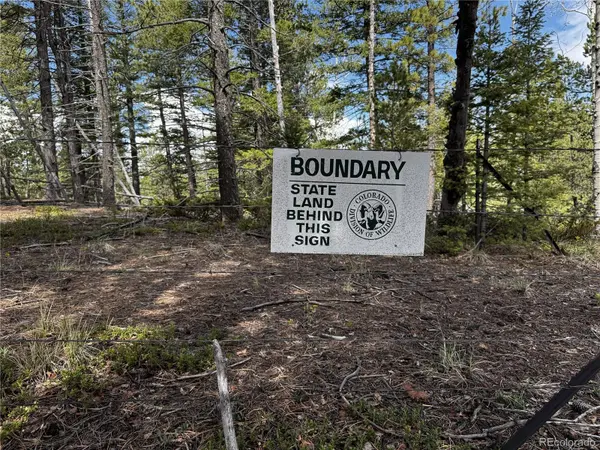 59 Robin PT, Divide, CO 80814