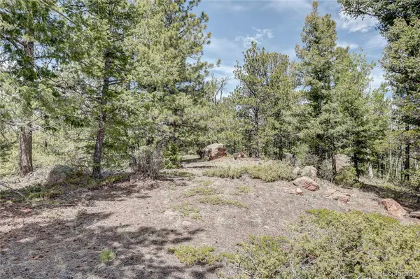 59 Robin PT, Divide, CO 80814