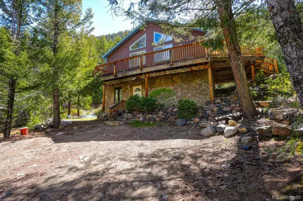 1206 Biddle ST, Georgetown, CO 80444