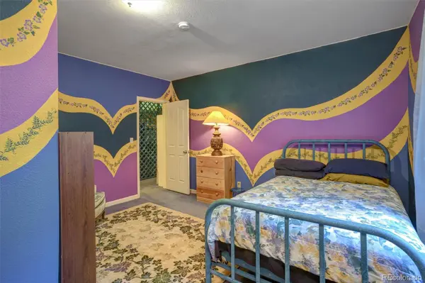 1206 Biddle ST, Georgetown, CO 80444