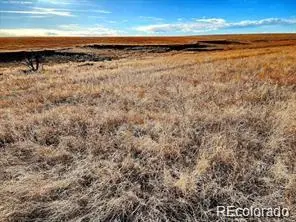 9175 Prospect Way RD, Byers, CO 80103