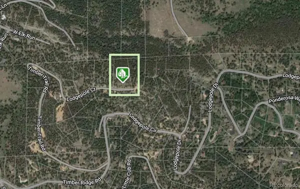 32593 Lodgepole DR, Evergreen, CO 80439
