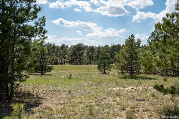 TBD-2 Paradise CIR, Elizabeth, CO 80107