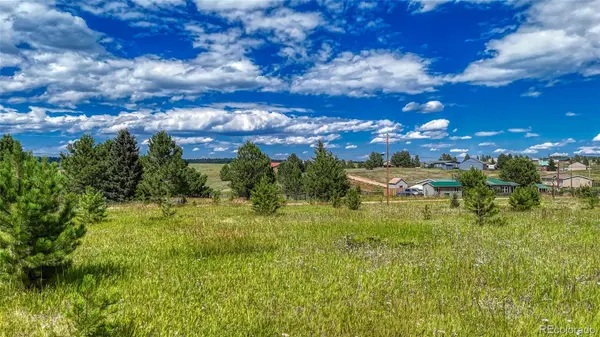 1129 Will Scarlet DR, Divide, CO 80814