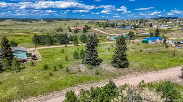 1129 Will Scarlet DR, Divide, CO 80814