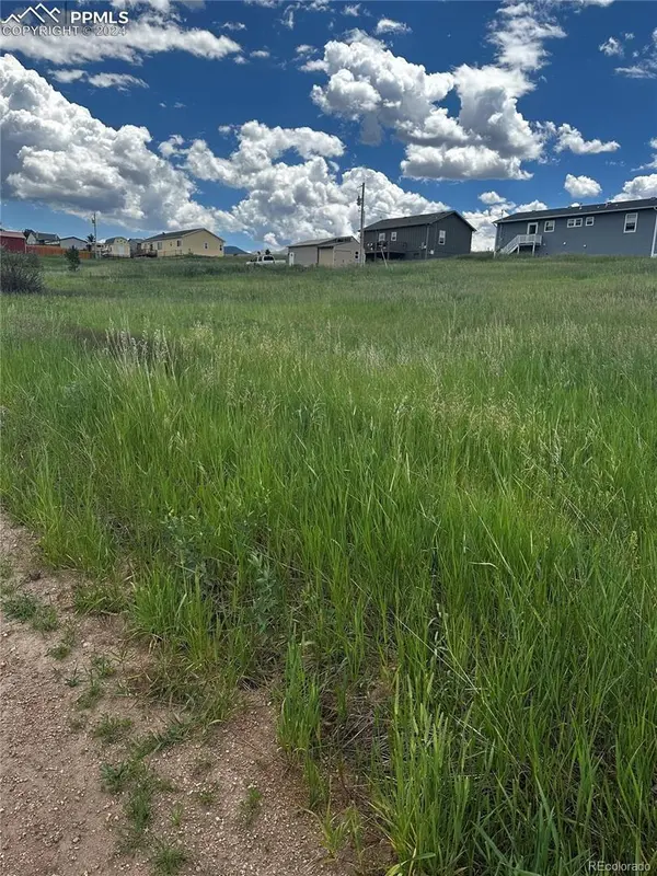 1298 Will Scarlet DR, Divide, CO 80814