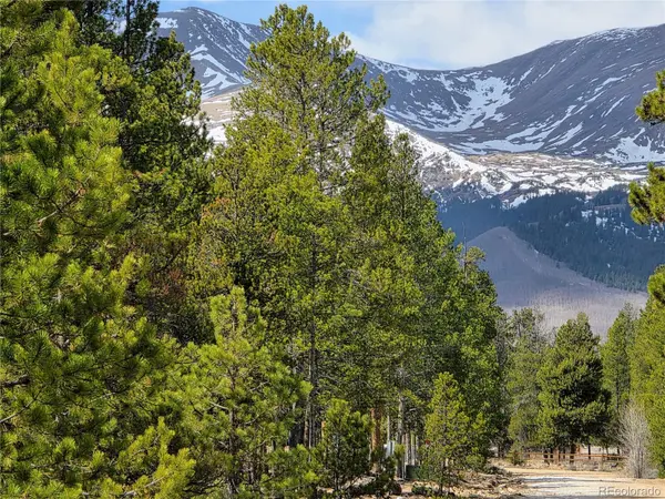 322 Fir DR, Twin Lakes, CO 81251
