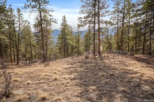 260 Bailey DR, Bailey, CO 80421