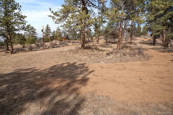 260 Bailey DR, Bailey, CO 80421