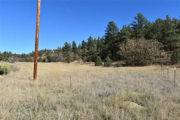 268-269 RANCHO LA GARITA FILING NO-8,, Weston, CO 81091