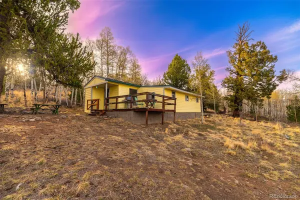 26 Meadow DR, Fairplay, CO 80440