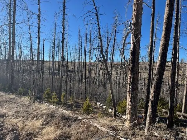 Lot 1502 Vonheyl LN, Fort Garland, CO 81133