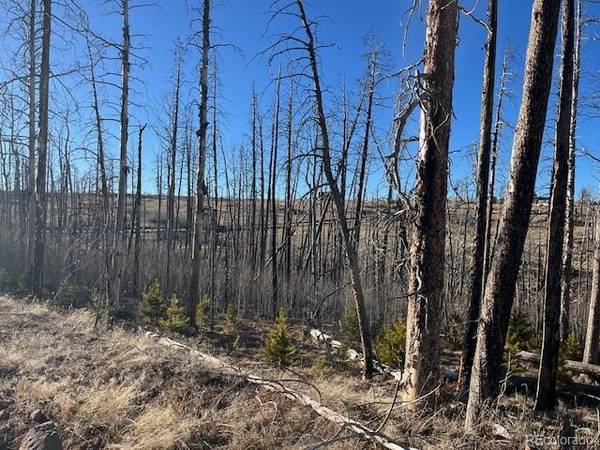Lot 1502 Vonheyl LN, Fort Garland, CO 81133