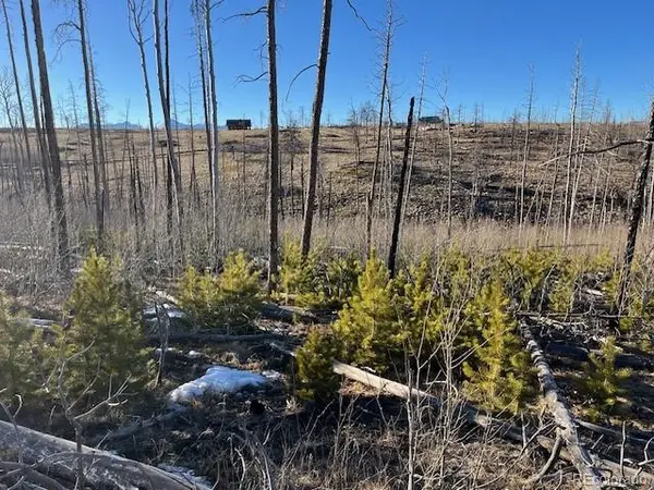 Lot 1502 Vonheyl LN, Fort Garland, CO 81133