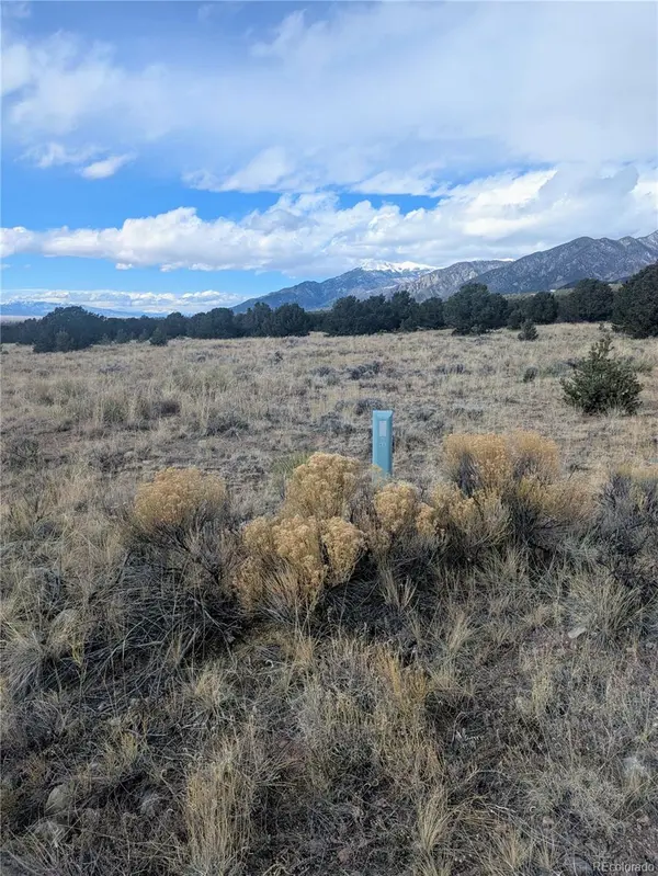 3288 Camino Del Rey, Crestone, CO 81131