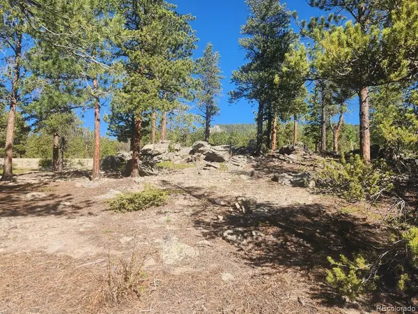13 Paradise Valley Pkwy, Black Hawk, CO 80422