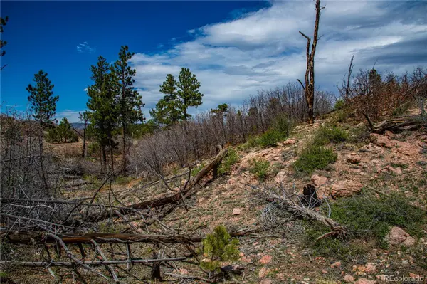 221 Cottonwood DR, Cotopaxi, CO 81223