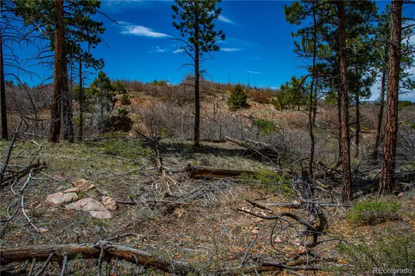 221 Cottonwood DR, Cotopaxi, CO 81223