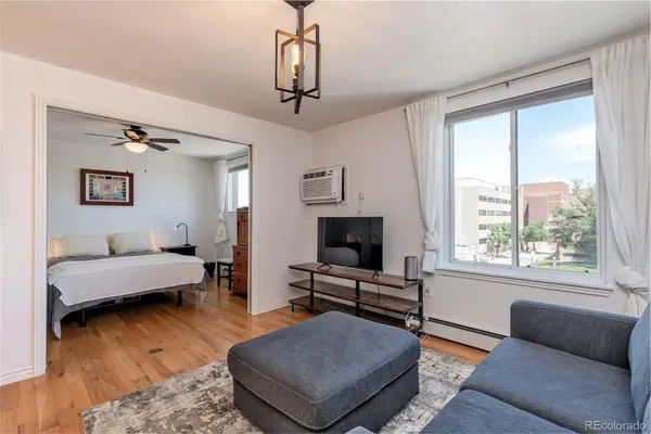 1833 N Williams ST #504, Denver, CO 80218