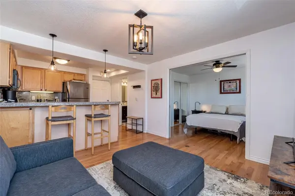 1833 N Williams ST #504, Denver, CO 80218