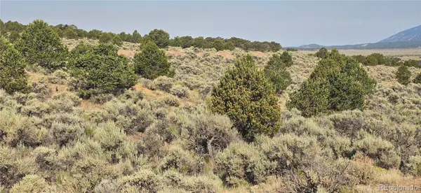 Lot 4075 Tiernan RD, Fort Garland, CO 81133