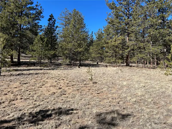 147 Haystack RD, Hartsel, CO 80449