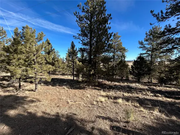 4376 Campfire RD, Hartsel, CO 80449