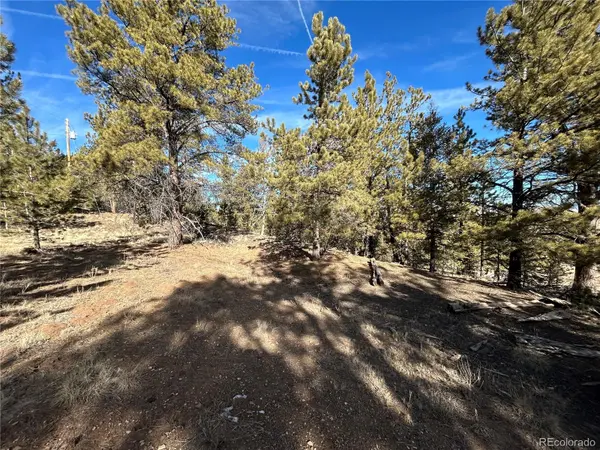 4376 Campfire RD, Hartsel, CO 80449