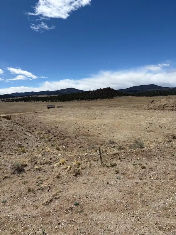 69 Buggy CT, Hartsel, CO 80449