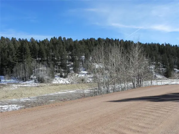 277 Gold King DR, Cripple Creek, CO 80813