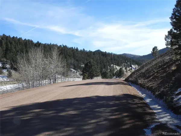 277 Gold King DR, Cripple Creek, CO 80813