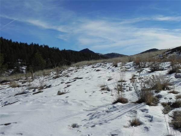 277 Gold King DR, Cripple Creek, CO 80813