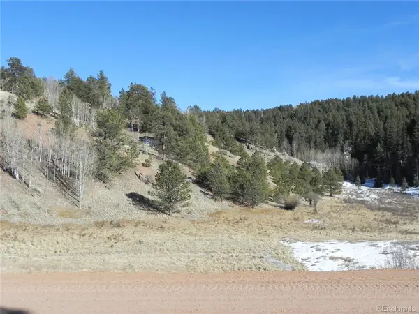 277 Gold King DR, Cripple Creek, CO 80813