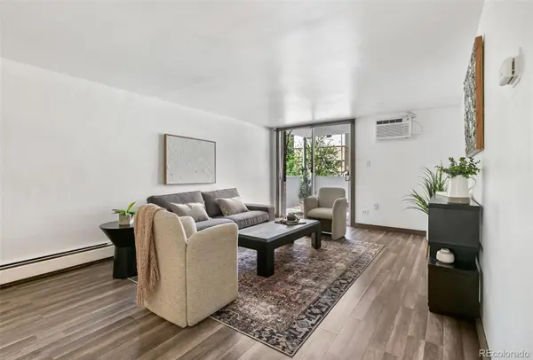 701 N Pearl ST #304, Denver, CO 80203