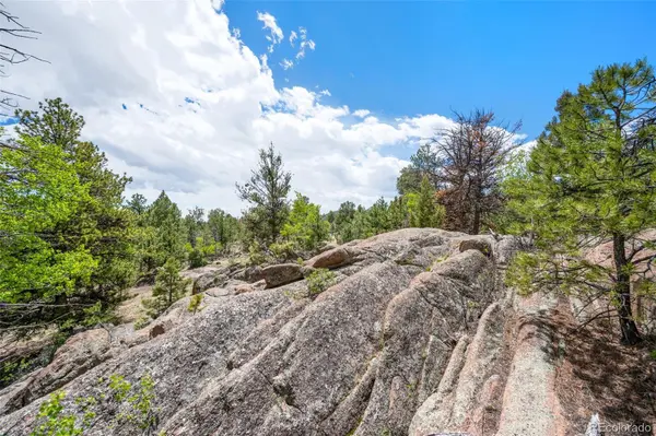 527 Plateau DR, Guffey, CO 80820