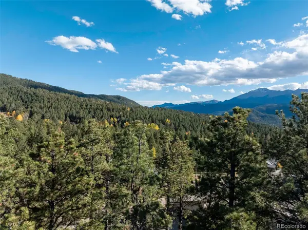 270 Thunder Ridge DR, Woodland Park, CO 80863