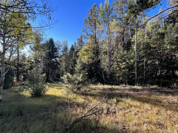 14759 Quartz CIR, Salida, CO 81201