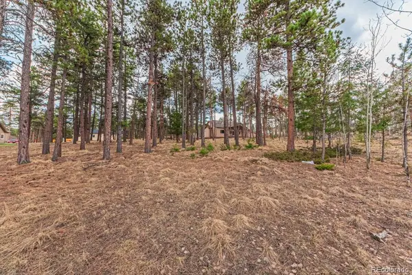 1290 Firestone DR, Woodland Park, CO 80863