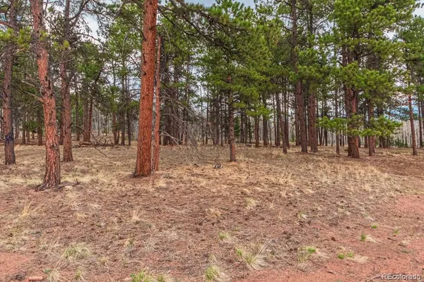 1290 Firestone DR, Woodland Park, CO 80863