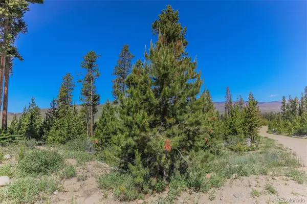 493 County Road 4632, Grand Lake, CO 80447