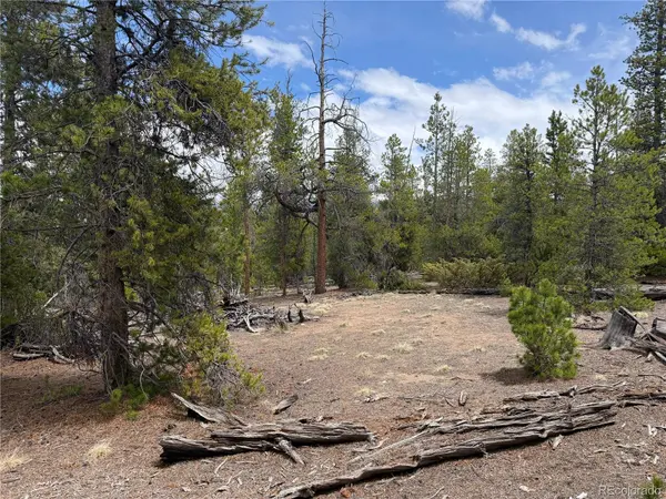 341 Lodgepole DR, Leadville, CO 80461