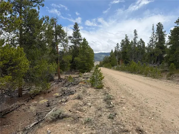 341 Lodgepole DR, Leadville, CO 80461