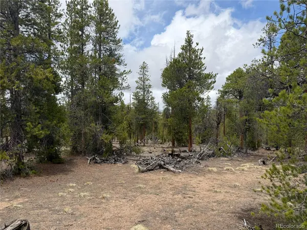 341 Lodgepole DR, Leadville, CO 80461