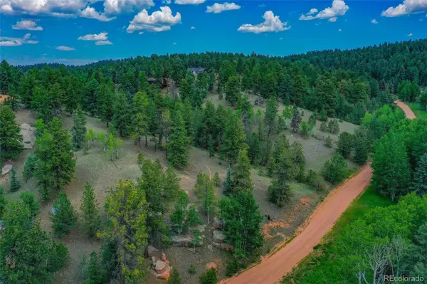 549 Spring Valley LN, Florissant, CO 80816