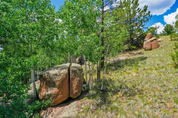 549 Spring Valley LN, Florissant, CO 80816